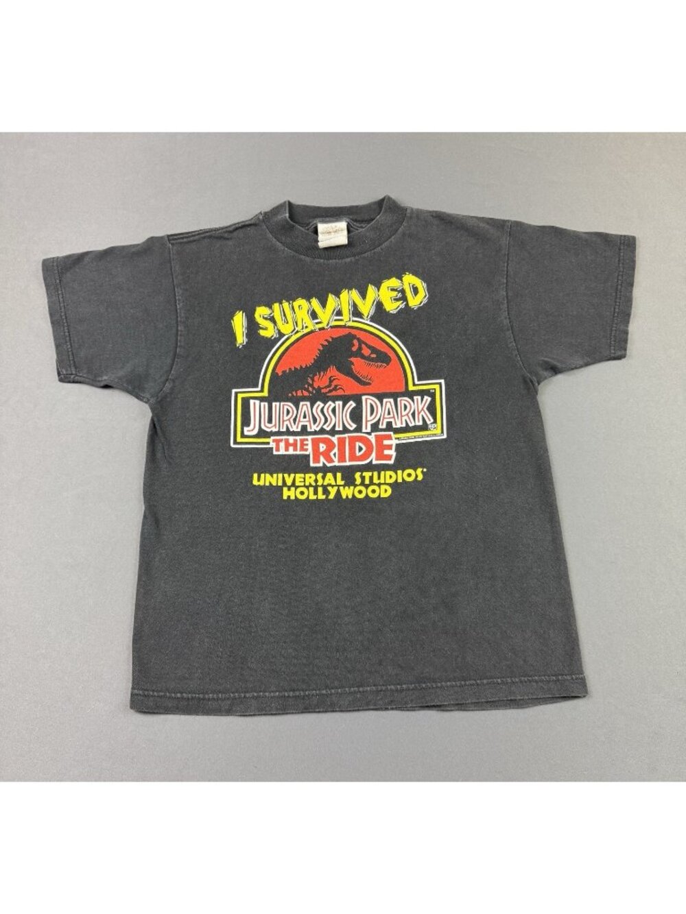 Vintage 90s Jurassic Park Universal Studios Hollywood I Survived Sun Fade Youth